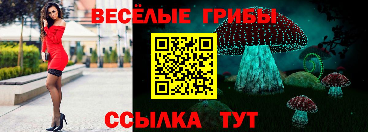 Волжский  Галлюциногенные грибы мухоморы  где купить наркоту  Вход с VPN 