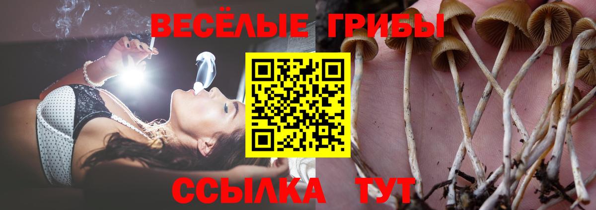Галлюциногенные грибы ЛСД Волжский